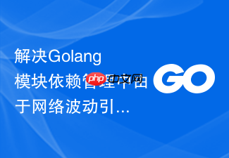 解决golang模块依赖管理中由于网络波动引起的构建中断