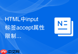 html中input标签accept属性限制文件格式的技巧