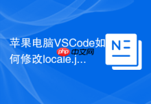 苹果电脑VSCode如何修改locale.json语言