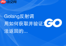 Golang反射调用如何获取并验证方法返回的error