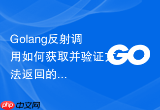 golang反射调用如何获取并验证方法返回的error