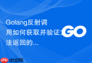 golang反射调用如何获取并验证方法返回的error