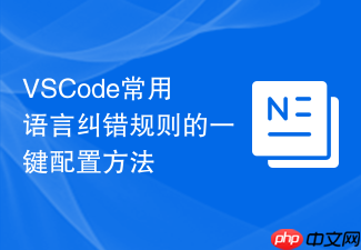 vscode常用语言纠错规则的一键配置方法