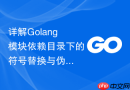 详解Golang模块依赖目录下的符号替换与伪装