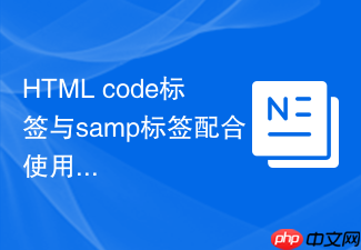 html code标签与samp标签配合使用的场景