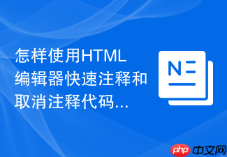 怎样使用html编辑器快速注释和取消注释代码
