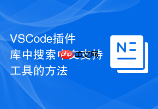 vscode插件库中搜索中文支持工具的方法