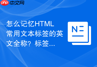 怎么记忆html常用文本标签的英文全称?标签含义通俗记忆