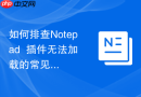 如何排查notepad++插件无法加载的常见原因