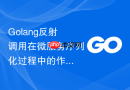 Golang反射调用在微服务序列化过程中的作用