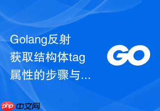 golang反射获取结构体tag属性的步骤与常见问题