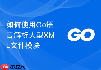 如何使用go语言解析大型xml文件模块