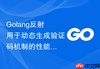 golang反射用于动态生成验证码机制的性能损耗及控制