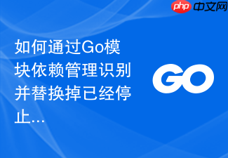 如何通过go模块依赖管理识别并替换掉已经停止维护的包