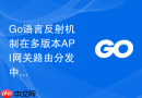 Go语言反射机制在多版本API网关路由分发中的应用