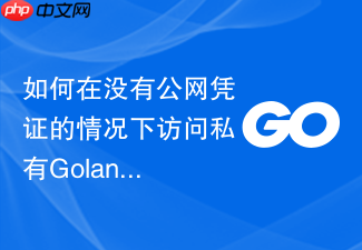 如何在没有公网凭证的情况下访问私有golang模块