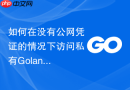 如何在没有公网凭证的情况下访问私有golang模块