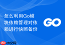 怎么利用Go模块依赖管理对依赖进行快照备份