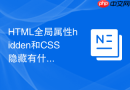 html全局属性hidden和css隐藏有什么区别?渲染效果分析