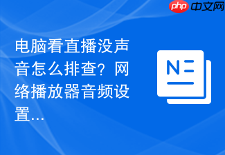 电脑看直播没声音怎么排查？网络播放器音频设置
