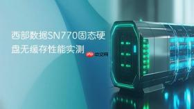 西部数据sn770固态硬盘无缓存性能实测