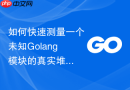 如何快速测量一个未知Golang模块的真实堆内存逃逸分布