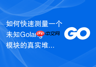 如何快速测量一个未知golang模块的真实堆内存逃逸分布
