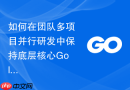 如何在团队多项目并行研发中保持底层核心Golang模块的架构一致性