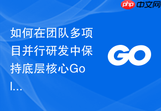 如何在团队多项目并行研发中保持底层核心golang模块的架构一致性