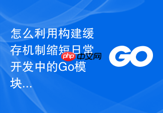 怎么利用构建缓存机制缩短日常开发中的go模块依赖下载时长