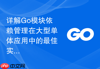 详解go模块依赖管理在大型单体应用中的最佳实践