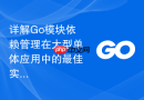 详解Go模块依赖管理在大型单体应用中的最佳实践