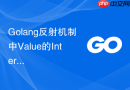 Golang反射机制中Value的Interface方法安全调用指南