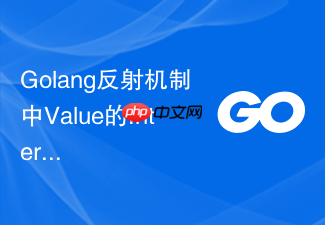 golang反射机制中value的interface方法安全调用指南
