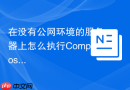 在没有公网环境的服务器上怎么执行Composer install命令？