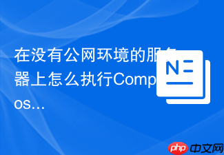 在没有公网环境的服务器上怎么执行composer install命令?