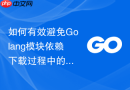 如何有效避免Golang模块依赖下载过程中的重复拉取