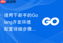适用于新手的Golang开发环境配置详细步骤