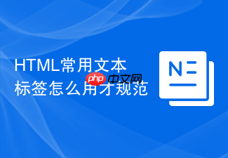 html常用文本标签怎么用才规范