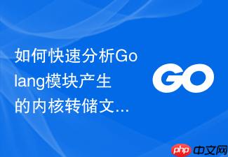 如何快速分析golang模块产生的内核转储文件