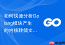 如何快速分析golang模块产生的内核转储文件