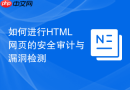 如何进行html网页的安全审计与漏洞检测