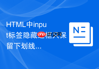 html中input标签隐藏边框只保留下划线的实现步骤