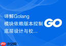详解Golang模块依赖版本控制底层设计与校验机制