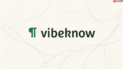 vibeknow积分扣除规则使用方法