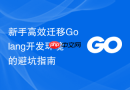 新手高效迁移Golang开发环境的避坑指南