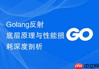 golang反射底层原理与性能损耗深度剖析