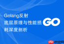 golang反射底层原理与性能损耗深度剖析