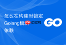 怎么在构建时锁定Golang模块依赖