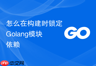 怎么在构建时锁定golang模块依赖